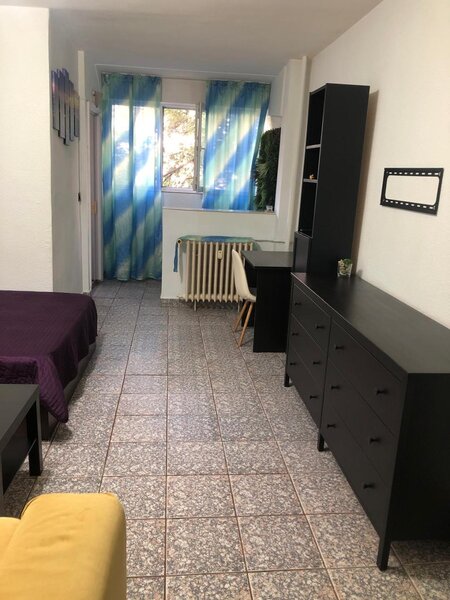 Colentina, Teiul Doamnei, Parc, semistradal