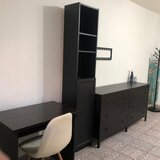 Colentina, Teiul Doamnei, Parc, semistradal